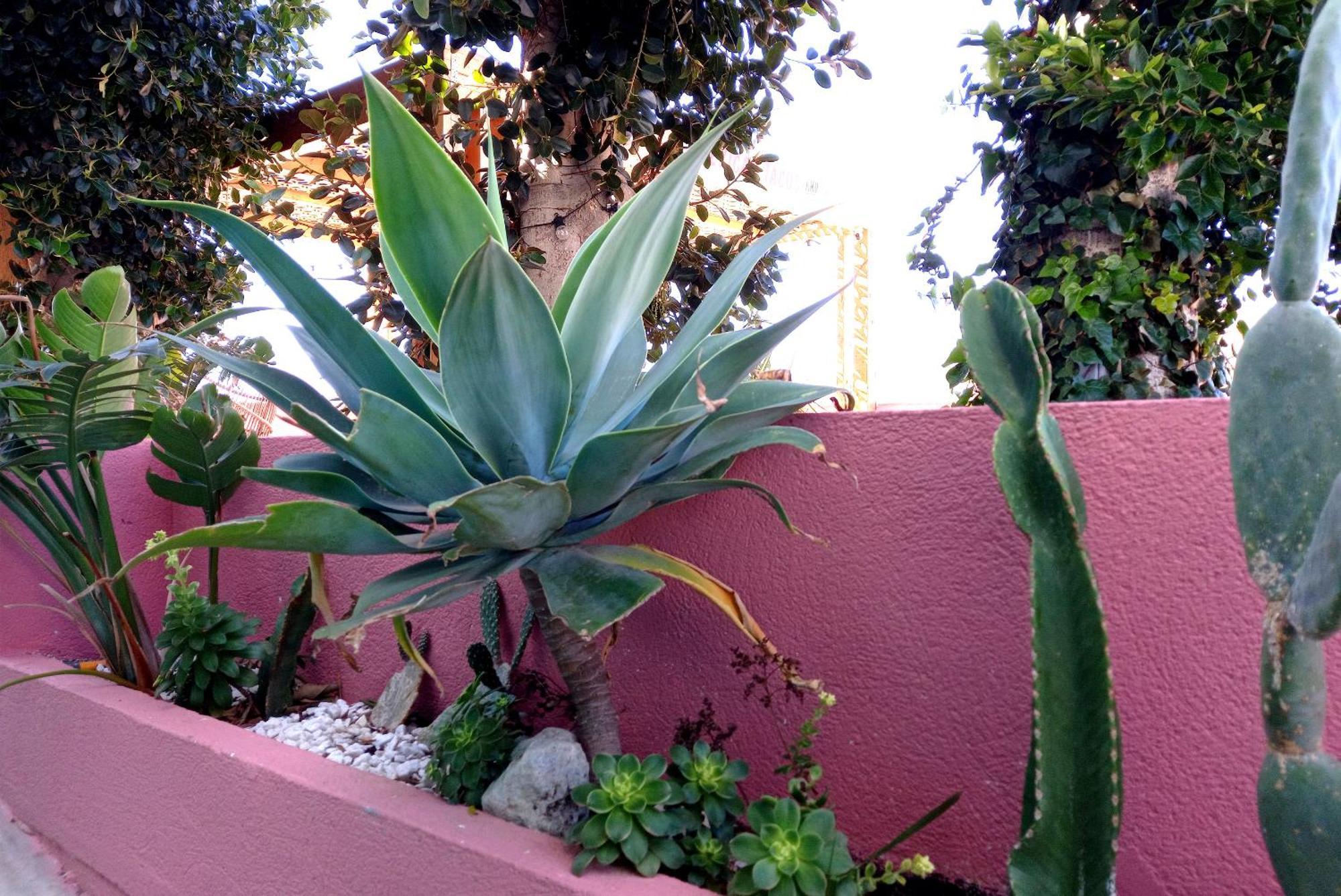 Boutique Bajío * El Pozo de los Frailes